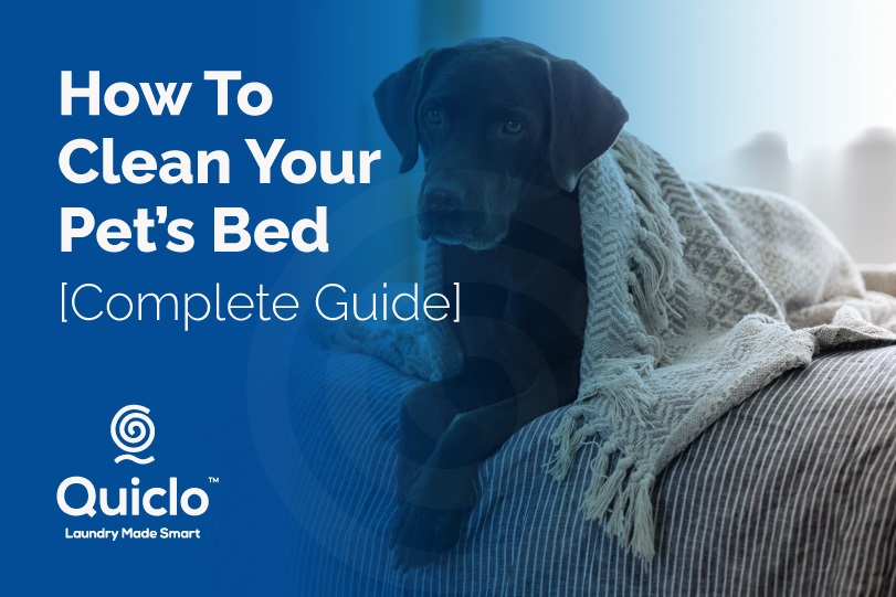 How To Clean Your Pets Bed - Quiclo