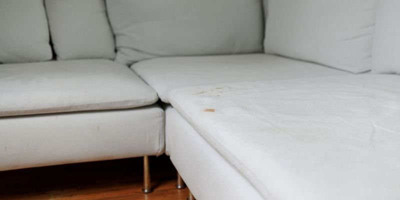 blot the stain of sofa